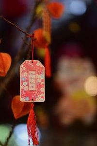 dịch vụ khách hàng Nohu
